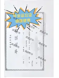 字母哥主教练3选1球迷热议(字母哥被交易至热火NBA官宣)